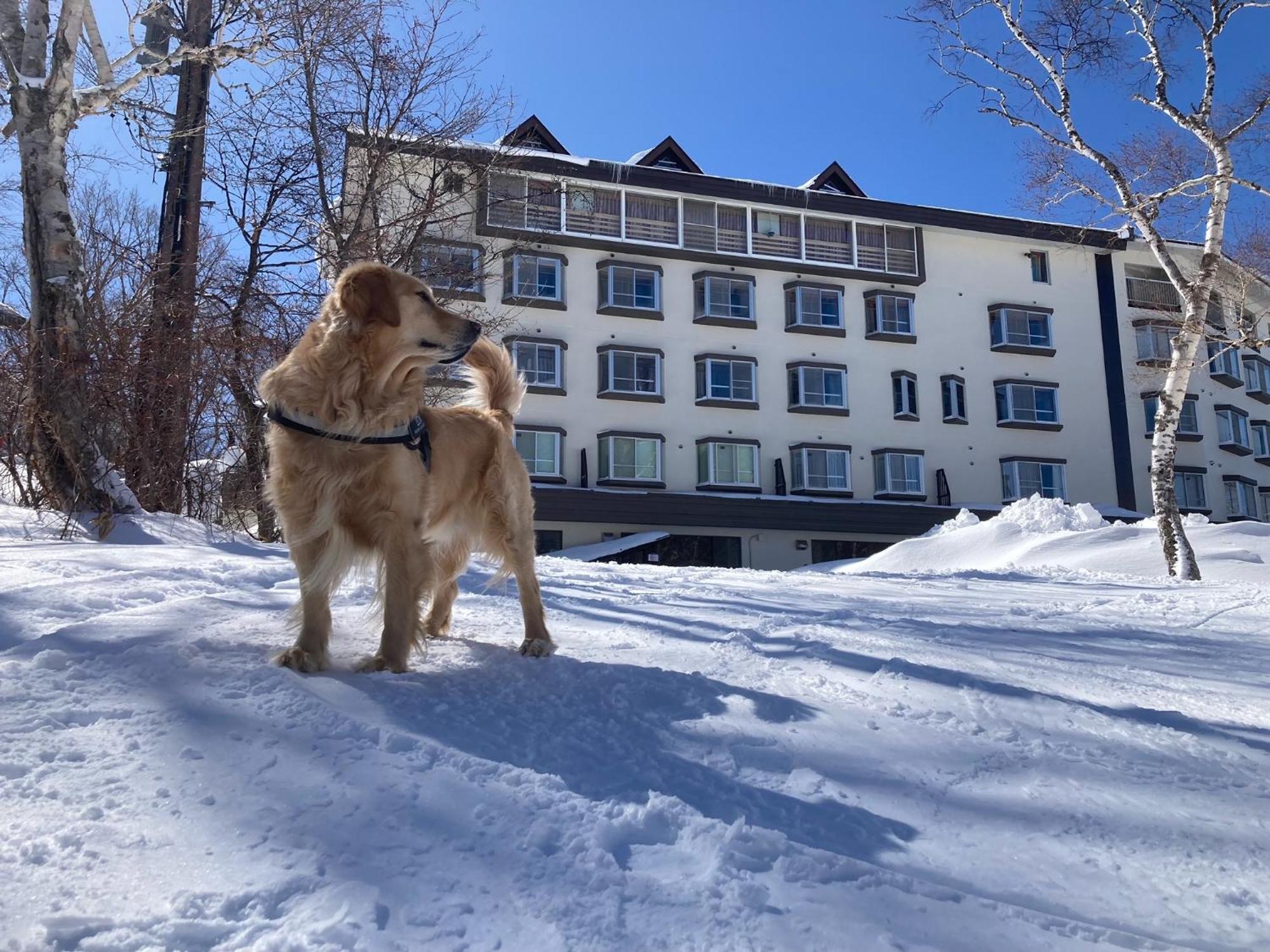 Shiga Lake Hotel Yamanouchi (Nagano) Exterior foto